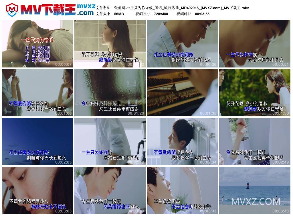 张师羽-一生只为你守候_国语_流行歌曲_MD402018